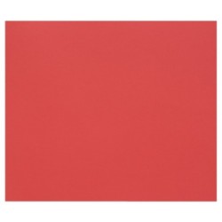 Papier dessin couleur à grain Tulipe 160g - Rouge coquelicot - 21 x 29,7 cm