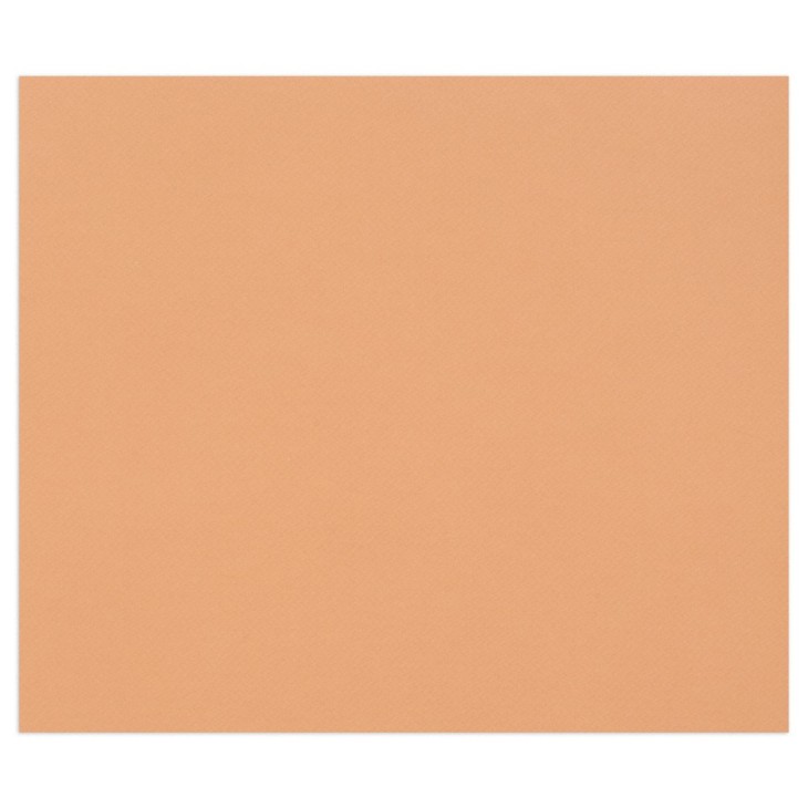 Papier dessin couleur à grain Tulipe 160g