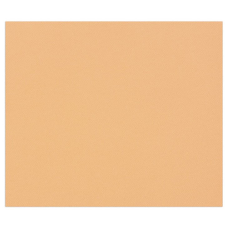 Papier dessin couleur à grain Tulipe 160g