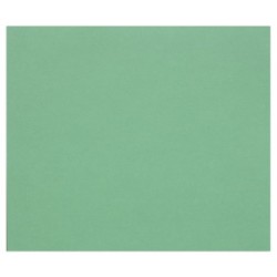 Papier dessin couleur à grain Tulipe 160g - Vert foncé - 21 x 29,7 cm