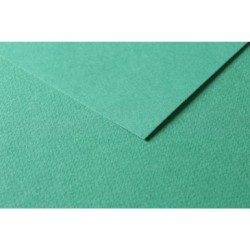 Papier dessin couleur à grain Tulipe 160g_1