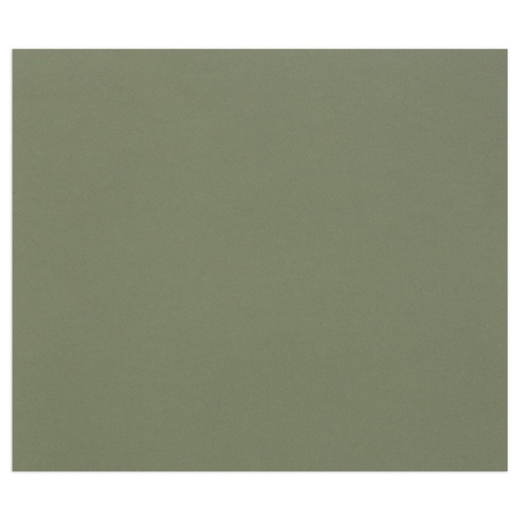 Papier dessin couleur à grain Tulipe 160g