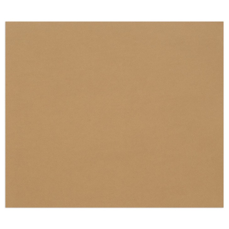 Papier dessin couleur à grain Tulipe 160g