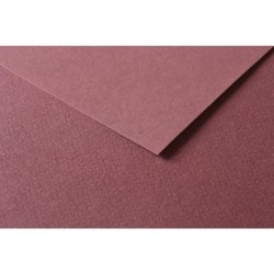 Papier dessin couleur à grain Tulipe 160g_1