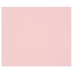 Papier dessin couleur à grain Tulipe 160g - Rose pâle - 29,7 x 42 cm