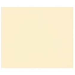 Papier dessin couleur à grain Tulipe 160g_1