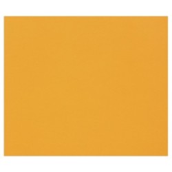 Papier dessin couleur à grain Tulipe 160g - Orange vif - 50 x 65 cm