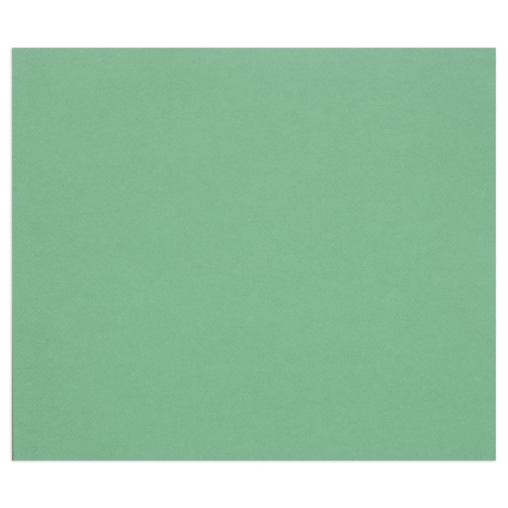 Papier dessin couleur à grain Tulipe 160g