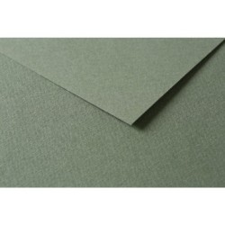 Papier dessin couleur à grain Tulipe 160g_1