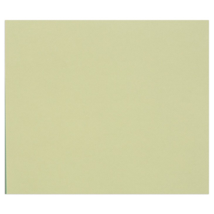 Papier dessin couleur à grain Tulipe 160g