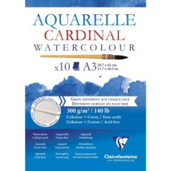 Bloc papier aquarelle Cardinal 300g - 29,7 x 42 cm