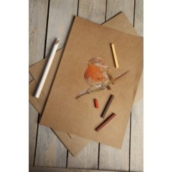 Papier dessin Kraft 160g_1