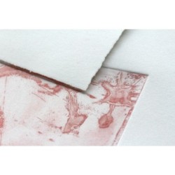 Papier d'édition d'art Fleur de Coton 250g_1