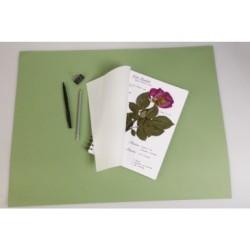 Carnet spiralé Herbier 180g_1