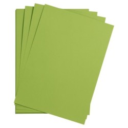 Papier dessin couleur lisse Maya 185g - Vert mousse - 50 x 70 cm