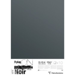 Papier multi-techniques PaintON 250g paquet - Noir profond - 50 x 65 cm