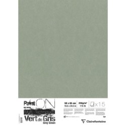 Papier multi-techniques PaintON 250g paquet - Vert de gris - 50 x 65 cm