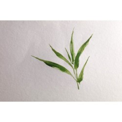 Rouleau papier aquarelle Bamboo grain fin 250g_1