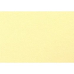 Contrecollé lisse Goldline 750g - Crème - 59,4 x 84 cm