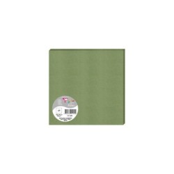 160X160 CARTE SAUGE 210G PAR 25