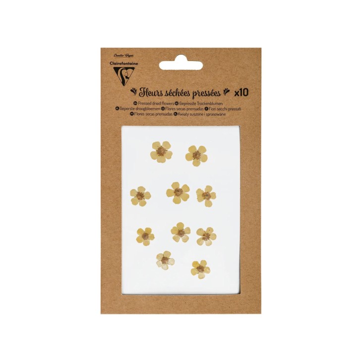 FLEURS SECHEES PRESSEES, 10pces, Jaune