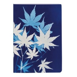 Cyanotype, Piqué fil A6 64P L assortis