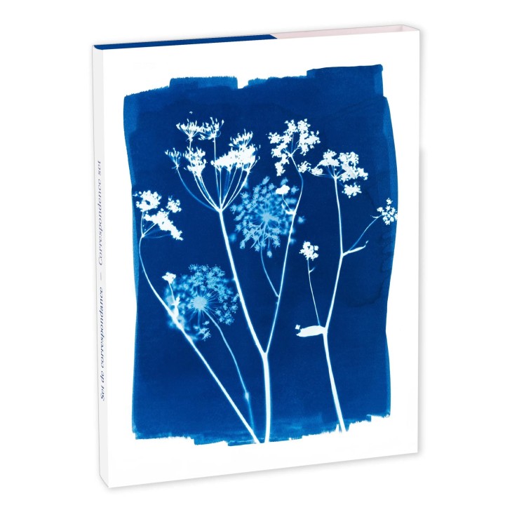 Cyanotype, Set correspondance 12x16,5