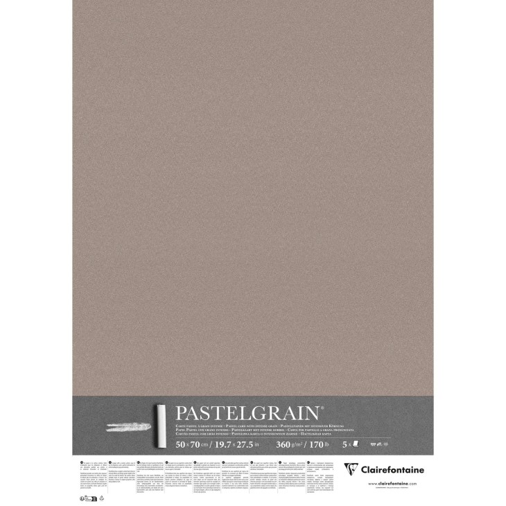 Carte pour pastel PastelGrain 360g