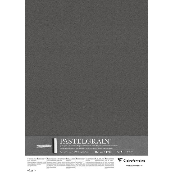 Carte pour pastel PastelGrain 360g