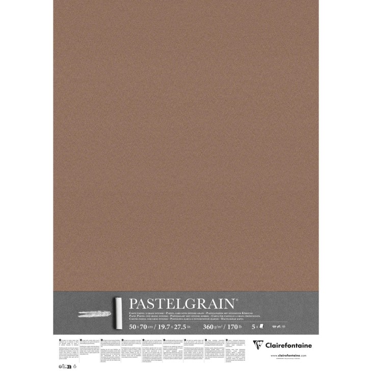 Carte pour pastel PastelGrain 360g