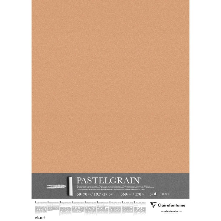 Carte pour pastel PastelGrain 360g