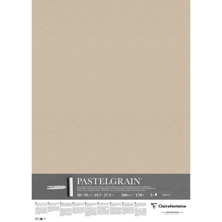 Carte pour pastel PastelGrain 360g