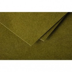 COLLECTION EUCALYPTUS, Paquet de 20 enveloppes imprimées Pollen 114x162mm  120g/m2 - Vert 2/ Pce